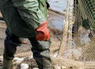 Empowering Inshore Fishing: New Fisheries Scheme for Economic Development – Highland Radio News news-09082024-034025