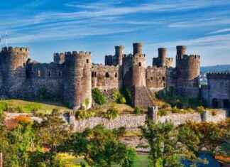 Unlimited Rail Travel Passes Launch by Transport for Wales – Explore Wales with Ease news-09082024-034246