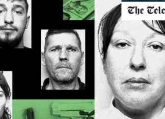 Unveiling the Secret Life of the Farmer’s Wife: From Homemaker to Crime Boss news-09082024-034405