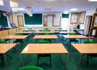 Enhanced In-School Therapy Supports Pilot Approved for Dublin Special Schools news-12082024-004450