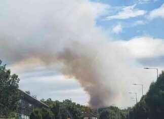 Dublin Firefighters Respond to Gorse Blaze in Mountains – Over 200 Emergency Calls news-12082024-004525