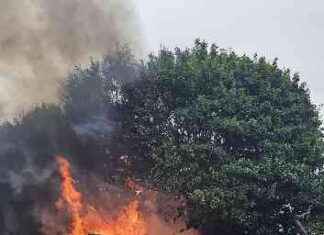 Combating Online Hatred: Open Letters Urge Irish and UK Governments to Take Action news-12082024-004548