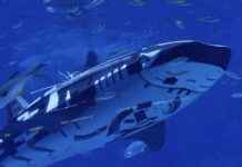 Introducing the World’s First Intelligent Robotic Whale Shark news-12082024-131018