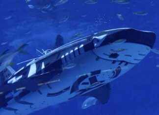 Introducing the World’s First Intelligent Robotic Whale Shark news-12082024-131018