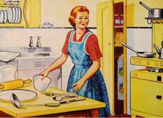 Criticism of Trad Wife Trend by Mental Health Charity Turn2Me news-13082024-072505