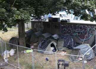 Demand for Removal of Barriers Along Dublin’s Grand Canal: Fresh Protest Seeks Accessibilit. news-14082024-113226