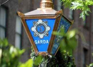 Garda detective accused of leaving firearm in Dublin store changing rooms news-14082024-174045