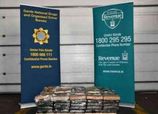 Dublin Port Cocaine Bust: Revenue Seizes €10.5 Million Worth news-14082024-174117