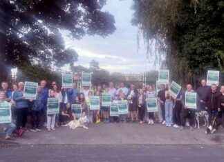 Residents in South Dublin oppose school’s plans for astroturf pitch in local square news-16082024-200249