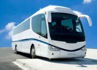 Transport Crisis Threatens Major Dublin Events: Bus Operators news-16082024-200319