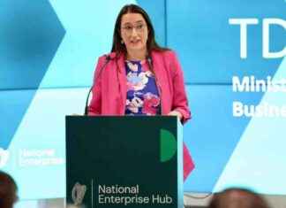 South Dublin Enterprise Hub: Accessible to All Businesses news-17082024-020427