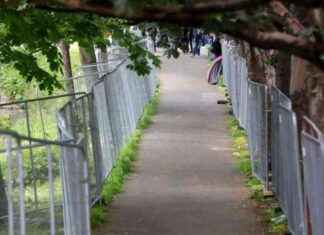 Improving Accessibility: Addressing Barriers Along Dublin’s Grand Canal news-17082024-200936