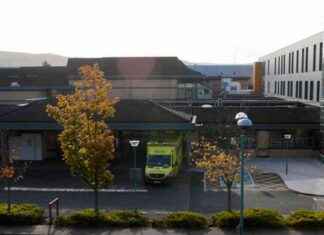 Man Hospitalized with Severe Injuries in Tallaght Assault news-19082024-125222