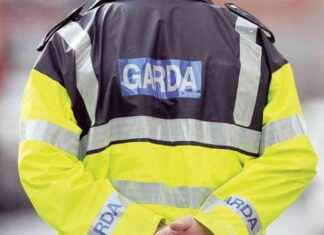 Assault in Tallaght Leaves Man in 30s Hospitalized with Serious Injuries news-19082024-125314