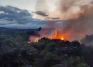 Wildfire in Killiney, South Dublin: Firefighters’ Efforts and Challenges news-20082024-010022