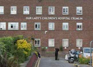 Burglary in Rathmines, Dublin: Girl (2) Hospitalized by Suspect’s Pepper Spray news-20082024-130456