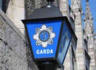 Family ‘Shaken’ After Attempted Burglary by Seven Masked Criminals in Dublin: What Happened? news-23082024-102943
