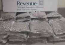 Man Charged for Cannabis in Luggage at Dublin Airport news-24082024-223548