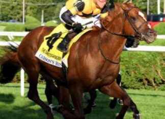 Carson’s Run and Cugino: West Point’s $3.1M Nashville Derby Contenders news-25082024-103618