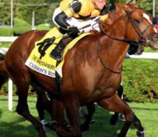 Carson’s Run and Cugino: West Point’s $3.1M Nashville Derby Contenders news-25082024-103618
