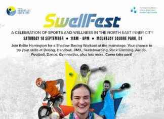 SWELLFEST: Dublin City Council & NEIC Collaboration for Community Event news-27082024-225059