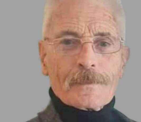 Charges Filed Against Woman (48) in Dublin Grandfather James ‘Shey’ Ryan Murder news-28082024-105158