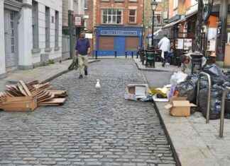 Dublin Businesses Face €150 Fine for Non-Compliance with Bin Bag Ban news-05092024-112832