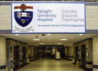 10th Anniversary Celebration: Free Public Information Day at Tallaght University Hospital news-10092024-004357