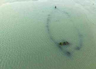 Exploring Shipwrecks: Local Diver Uncovers Three Treasures with Drone news-10092024-061740