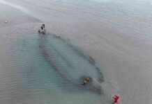 Exploring Three Newly Discovered Shipwrecks at Portmarnock Strand news-10092024-061803