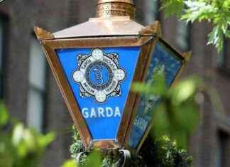 Man (40s) Facing Court Charges for Assault on Woman in Dublin Home news-10092024-085354