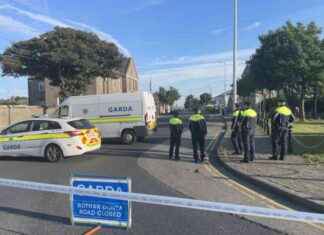 Arrested Key Member of ‘Lucky Dip’ Gang Linked to Fatal Hit-and-Run in North Dublin news-10092024-113329