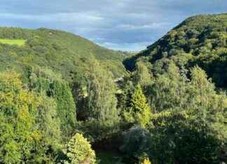 Preserving Glen of the Downs: Urgent Call for State Intervention in Woodland Sale news-10092024-172754