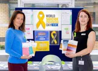 World Suicide Prevention Day 2024: HSE Dublin and Midlands Region’s Efforts news-13092024-064943