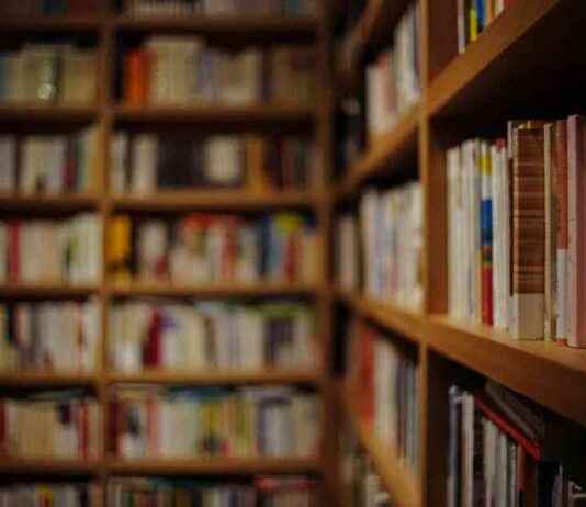 Search Begins for An Post Bookshop of the Year – Nationwide Quest Underway news-13092024-105139