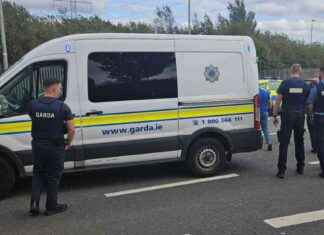 Man Stabbed in West Dublin Rushed to Hospital: Latest Updates and News news-13092024-185709
