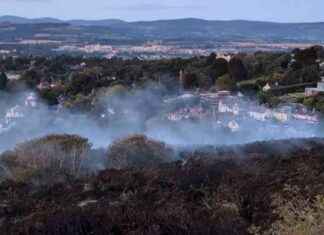 Wildfire Alert: Dublin Fire Brigade Warns Against ‘Fire Tourists’ news-16092024-214349