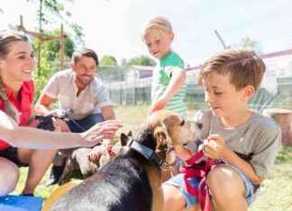 ISPCA Clear the Shelters Campaign: Urgently Find Homes for Animals news-17092024-014800