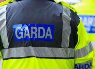 Arrested: Two Men Linked to Dublin Drug Intimidation news-18092024-233743
