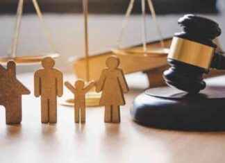 Enforcing Child Maintenance Payments: Costello Urges Government Action news-21092024-202637