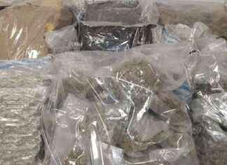 Seized Contraband Worth Over €670,000 in Dublin news-24092024-141059