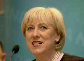 Potential impact of Budget 2024 on social welfare recipients: Two bonus payments at risk news-24092024-181430