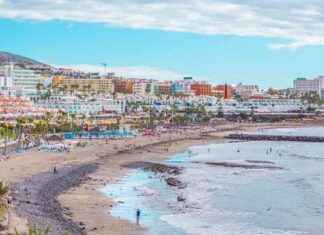 Nightmare Experience in Tenerife: Woman’s Terrifying First Night In Paradise news-27092024-120800