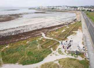 Claddagh National School Students Join Big Beach Clean in Galway news-28092024-054654