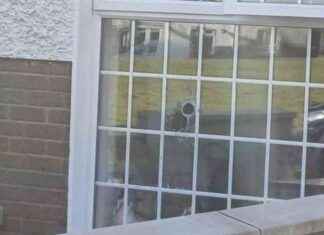 Longford Drive-By Shooting Leaves Pensioner in Serious Condition – Featured on RTÉ Crimecall news-22102024-210323