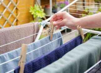 Discovering the Purpose of the Washing Machine Button: A Beginner’s Guide news-23102024-150625