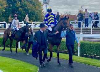 Breaking New Ground: Jumps Owner’s Innovations in Flat Racing Headquarters news-23102024-211500