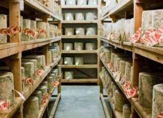 Man Arrested in U.K. Cheese Heist: Imposter Stole $389,000 Worth of Cheddar news-03112024-080148