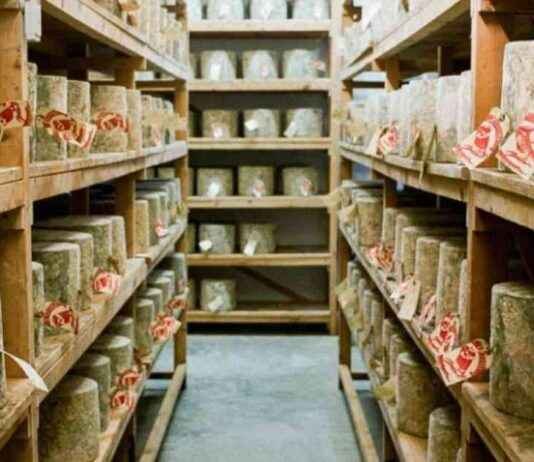 Man Arrested in U.K. Cheese Heist: Imposter Stole $389,000 Worth of Cheddar news-03112024-080148