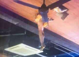 British Tourist Survives Balcony Fall Covered in Feces news-04112024-165932